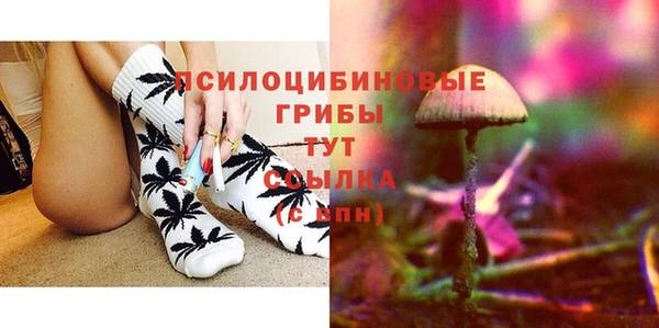 кокс Магас