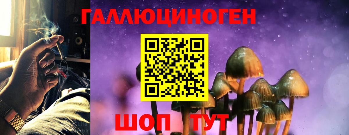 Галлюциногенные грибы прущие грибы  Галлюциногенные грибы MAGIC MUSHROOMS  Усть-Илимск  Вход с VPN 